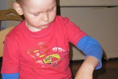 подсолнушек (5)