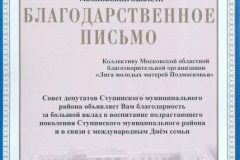 Совет депутатов 2009